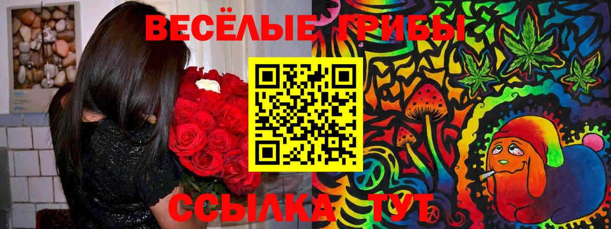 Галлюциногенные грибы ЛСД  Вход с VPN  Красноармейск 